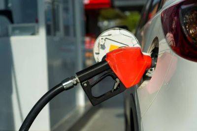 Цены на АЗС: Большие сети повысили цены на бензин и дизтопливо