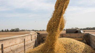 Кубраков рассказал, как сократился экспорт зерна из-за ударов рф по портам