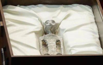 В Конгрессе Мексики показали мумии "инопланетян"