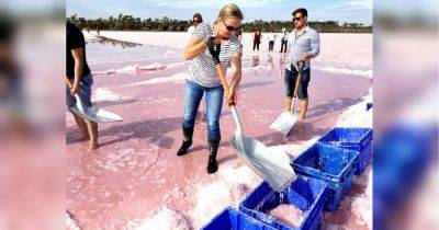 Крымский мост собираются посыпать розовой солью: что происходит