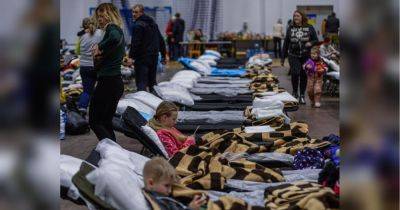 В Чехии продолжат временную защиту для беженцев и будут способствовать их добровольному возвращению в Украину