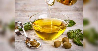 Изделия из дерева долго будут новыми: чем полезно оливковое масло на кухне и в доме