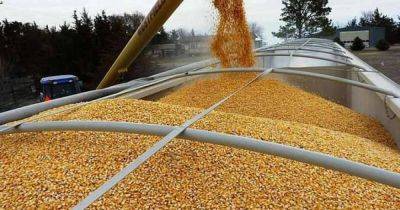 В Еврокомиссии не приняли решение о продлении запрета на экспорт зерна из Украины