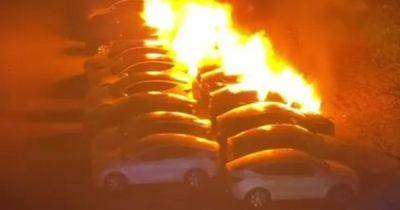 В Германии сгорели десятки электромобилей Tesla стоимостью более 500 тысяч евро (фото)