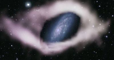 Почти как у Сатурна. Обнаружена редкая галактика, имеющая загадочную особенность (фото) - focus.ua - Украина - Австралия