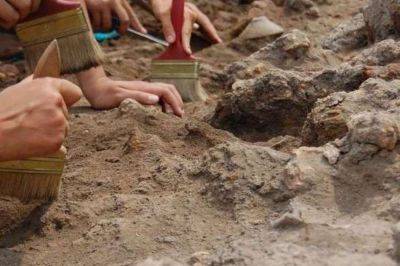 Спустя тысячелетия: супруги нашли могилу викингов во время ремонта в своем доме