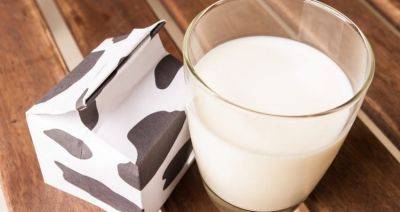 Rabobank снизил прогноз производства молока в мире