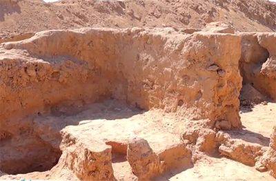 Археологи обнаружили в Кашкадарье руины древнего села времен Амира Темура