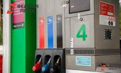 Бензин на Южном Урале остается одним из самых дешевых в стране