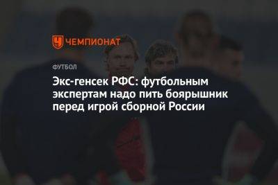 Экс-генсек РФС: футбольным экспертам надо пить боярышник перед игрой сборной России