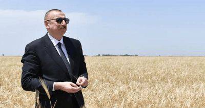 Внезапный визит Алиева в Душанбе: Азербайджан ищет поддержки в конфликте с Арменией?