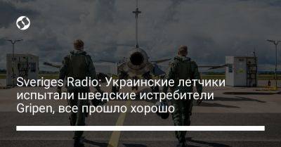 Sveriges Radio: Украинские летчики испытали шведские истребители Gripen, все прошло хорошо