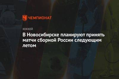 В Новосибирске планируют принять матчи сборной России следующим летом