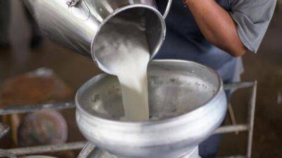 Популярный молочный продукт исчезнет из магазинов в Израиле: причины
