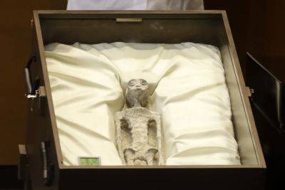 "Останкам около тысячи лет": В конгрессе Мексики показали мумии "инопланетян" - видео
