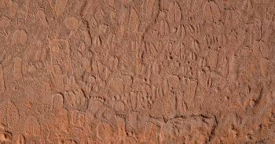 Мастерство древних граверов. Наскальные рисунки каменного века в Намибии невероятно детализированы