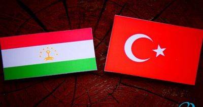 Таджикистан – долгоиграющая попытка Турции подорвать формирующийся авторитет Ирана в Центральной Азии