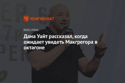 Дана Уайт рассказал, когда ожидает увидеть Макгрегора в октагоне