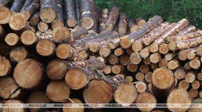 За семь месяцев 2023 года лесохозяйственные учреждения заготовили более 10 млн куб.м древесины