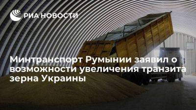 Румынский министр заявил о возможности увеличения транзита зерна Украины