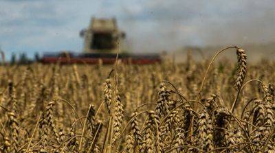Еврокомиссия не будет продлевать запрет на импорт украинского зерна
