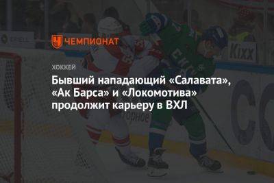 Бывший нападающий «Салавата», «Ак Барса» и «Локомотива» продолжит карьеру в ВХЛ