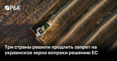 Три страны решили продлить запрет на украинское зерно вопреки решению ЕС