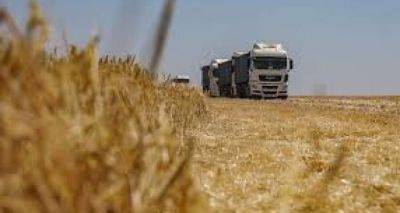 Снято ограничение на импорт украинского зерна