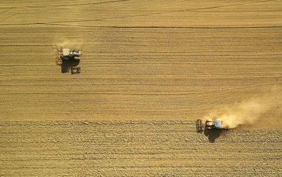 Польша продолжит запрет на экспорт зерна из Украины