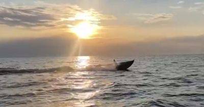 СБУ подбила ракетный корабль РФ "Самум", использовав дрон "Морской малыш", — СМИ