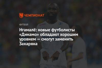 Нгамалё: новые футболисты «Динамо» обладают хорошим уровнем — смогут заменить Захаряна