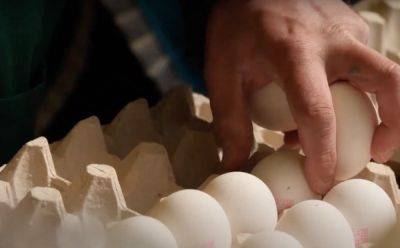 Яйца снова станут "золотыми": украинцев предупредили о резком скачке цен – названы цифры