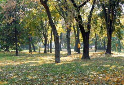 Доставайте шорты и майки - идет рекордное тепло: синоптик Диденко дала прогноз на воскресенье 17 сентября