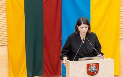 Литва призвала ЕС во время пересмотра бюджета увеличить поддержку Украины
