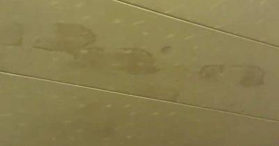 Появились из ниоткуда: семья напугана необычными следами ног на потолке (фото)