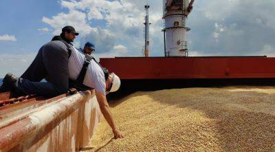 Румынские фермеры призывают правительство запретить импорт зерна из Украины