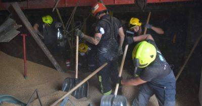 В Чернигове погибли три человека: их засыпало 100 тонн зерна, — ГСЧС (фото)