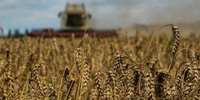 Фермеры в Болгарии готовятся протестовать из-за снятия запрета на импорт зерна из Украины. Премьер сравнил их с «террористами»