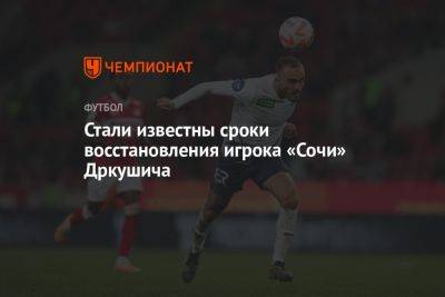 Стали известны сроки восстановления игрока «Сочи» Дркушича
