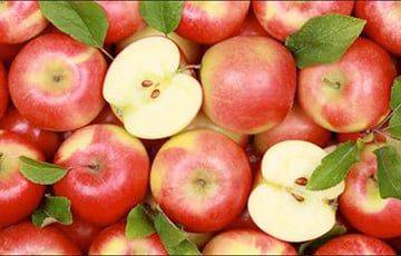 На росТВ назвали цвет белорусских яблок в 2023-м году необычным - charter97.org - Россия - Белоруссия