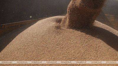 Беларусь закупит у России до 500 тыс. тонн зерна
