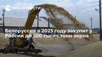 В Белоруссии сообщили, что в 2023 году закупят у России до 500 тысяч тонн зерна