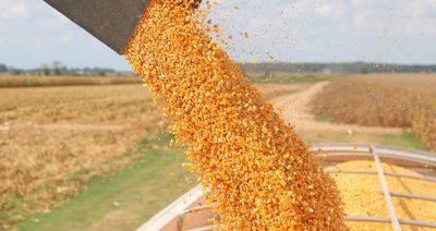 Убрано более 8500 га кукурузы на зерно