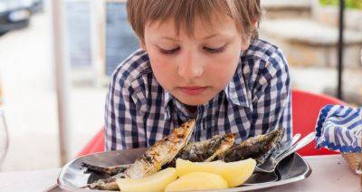 В Германии исключают мясо и рыбу из меню детсадов и школ