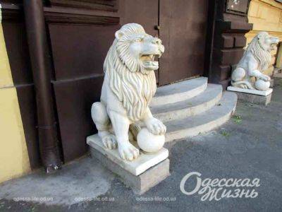 На одесской улице появились два белых льва | Новости Одессы