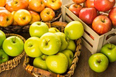 Будут лежать до первых подснежников: как продлить срок свежести домашних яблок