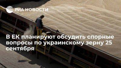 В ЕК планируют обсудить спорные вопросы по импорту украинского зерна 25 сентября