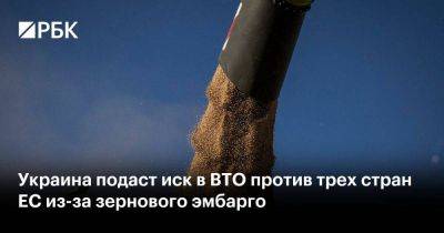 Украина подаст иск в ВТО против трех стран ЕС из-за зернового эмбарго