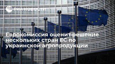 ЕК оценит решение нескольких стран ЕС о мерах против украинской агропродукции