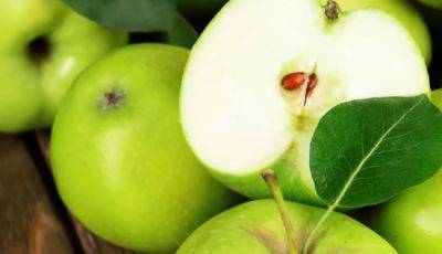 Будут лежать до следующего урожая: как хранить яблоки, чтобы они месяцами оставались свежими. Лайфхак